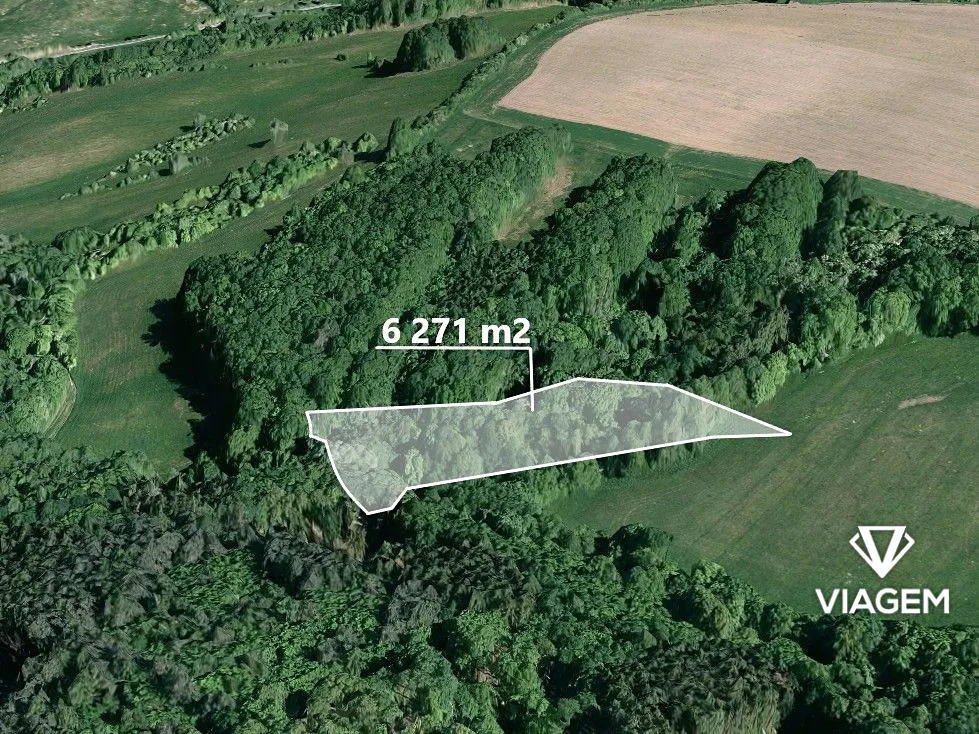 Prodej podílu 1/4 lesa 1567 m²
